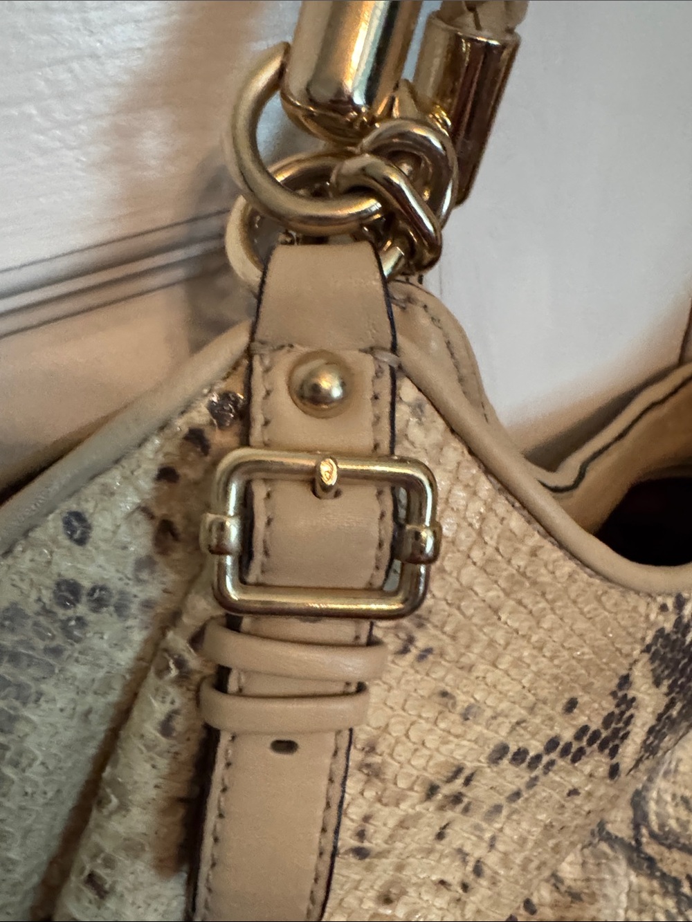 Coach Cream and Brown Snake-Print Leather Hobo Bag - Picture 7 of 10